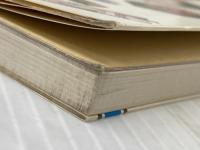 きれいな千代紙細工―千代紙が創りだす伝統美の世界 日本文芸社 エキグチクニオ