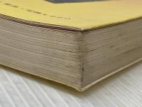 ※イタミ有 太陽にほえろ! 颯爽テキサス刑事5 日本テレビ 魔 久平