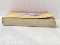 ※イタミ有 太陽にほえろ! 颯爽テキサス刑事5 日本テレビ 魔 久平