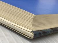 ※イタミ有 雨の日にはプッシィ・ブルースを (1983年)