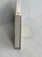 DS版 ファイナルファンタジーIII 公式ファイナルガイド エンターブレイン ファミ通書籍編集部