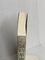 気功革命 (治癒力編) コスモス・ライブラリー 盛 鶴延