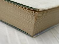 ※イタミ有 夢見る沼 (講談社文庫 い 5-4) 講談社 井上 靖