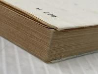 風媒花 (新潮文庫 草 91-1) 新潮社 武田 泰淳