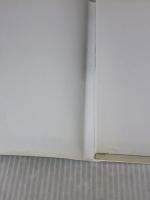 【※イタミ有り】二宮康明のわりばし機10機選: よく飛ぶ紙飛行機集 誠文堂新光社 二宮 康明