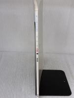 ゆっくり学ぶ子のためのこくご (入門編 2) 同成社