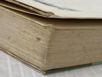 ※イタミ有 算数・お母さんのトラの巻―苦手な子ほど、どんどん伸びる (1978年) (プレイブックス) 青春出版社 相原 昭