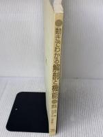 【※カバー無し】動きでわかる解剖と機能 医道の日本社 Joseph E. Donnelly