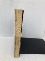 【※イタミ有】宇宙人との遭遇: プレアデス星から来た美人宇宙飛行士 (トクマブックス) 徳間書店 ウェンデール スチーブンス