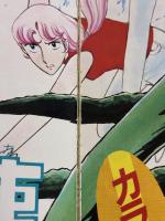 和田慎二全コレクション 白泉社 和田 慎二