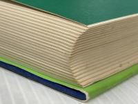 マキコは泣いた (理論社の大長編シリーズ) 理論社 吉田 比砂子