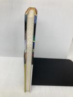 善戦苦闘 マガジンハウス 鈴木 亜久里