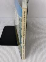 【※イタミ有り】Hyper Ballad―Icelandic Suburban Landscapes スイッチ・パブリッシング ホンマ タカシ