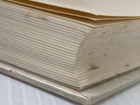 ※カバー無し 竜の塔 葦書房(福岡) 白木正四郎