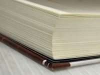 ※カバー無し マインクラフト 3つの試練 竹書房 スイー・デイヴィース