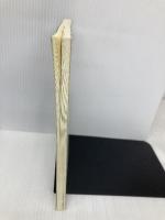 心に性別はあるのか?―性同一性障害のよりよい理解とケアのために 医療文化社 中村 美亜