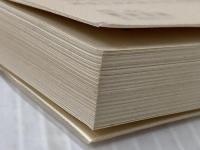 ※イタミ有 京の芸能―王朝から維新まで (1979年) (中公新書) 中央公論社 守屋 毅