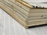 問いつづけて―教育とは何だろうか (1981年)