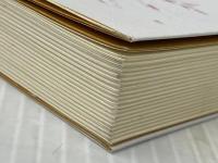 魔女の論理 (1984年)