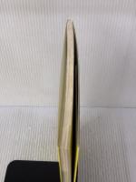 山根亜希子のFX連勝投資術: 初心者が“勝ち組”になるための奥義 日本文芸社 山根 亜希子