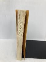 【※イタミ有】した手の心構え (碁スーパーブックス 4) 日本棋院 橋本 雄二郎