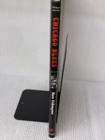 Down at Theresa's - Chicago Blues: The Photographs of Marc Pokempner Prestel Pub MarcPokempner