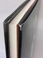 Down at Theresa's - Chicago Blues: The Photographs of Marc Pokempner Prestel Pub MarcPokempner