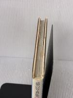 【※イタミ有り】ズッケロとカピートに仔猫が生まれた―写真集 (1978年)