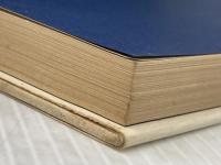 ※イタミ有 ランチェスター販売戦略 第5巻 (市場占拠NO. 1シリーズ) ビジネス社 田岡 信夫