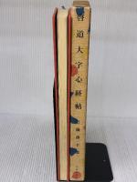 【※イタミ有り】啓道大字心経帖 (1980年) 出版開発社 石橋 啓十郎