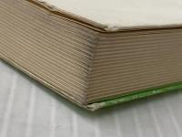 この日ありて ― 広布に生きる母の記録