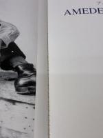 【※イタミ有り】アメデオ・モディリアニ: 1884-1920 (タッシェン・ニュー・ベーシック・アート・シリーズ)