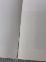 【※イタミ有り】アメデオ・モディリアニ: 1884-1920 (タッシェン・ニュー・ベーシック・アート・シリーズ)