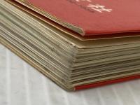 家庭でできる和洋菓子 続