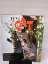 【※イタミ有り】愛するねこたち―岩合光昭写真集 (1978年)