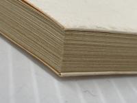 りんごの花咲くころ 角川書店 石坂洋次郎