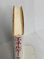 エネルギー(下) 日経BP 黒木 亮