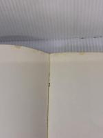 水墨画―線と面の実際技法 (1976年) (墨絵技法シリーズ〈5〉)