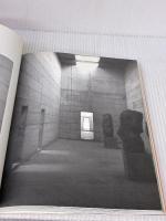 素材の美学―表面が動き始めるとき… (造形ライブラリー 02) 共立出版 エルウィン ビライ