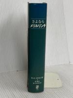 さよならメリルリンチ 日経BP ポール スタイルズ