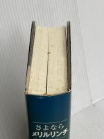 さよならメリルリンチ 日経BP ポール スタイルズ