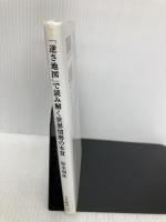 「逆さ地図」で読み解く世界情勢の本質 (SB新書) SBクリエイティブ 松本 利秋