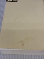 ザ・ゴール ― 企業の究極の目的とは何か ダイヤモンド社 エリヤフ・ゴールドラット