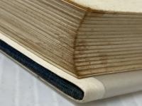 個人的な体験 (1964年)  大江 健三郎 (著)