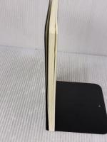 クリニック経営30の処方箋 ギャラクシーブックス 原 聡彦