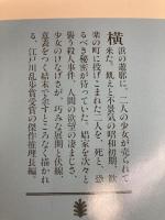 花園の迷宮 (講談社文庫 や 27-1) 講談社 山崎 洋子