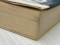 猛爆ドジ全集　タレント版・穴があったら入りたい (Kosaido Books)