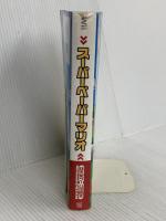 Nintendo DREAM 任天堂ゲーム攻略本 スーパーペーパーマリオ毎日コミュニケーションズ NintendoDREAM編集部