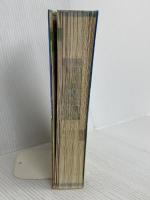 Nintendo DREAM 任天堂ゲーム攻略本 スーパーペーパーマリオ毎日コミュニケーションズ NintendoDREAM編集部