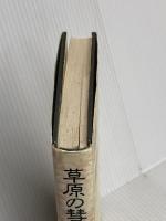 草原の彗星チムール 新潮社 森下 研